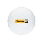 TM319 • Golf Ball Standard Service ( Pricing per dozen )
